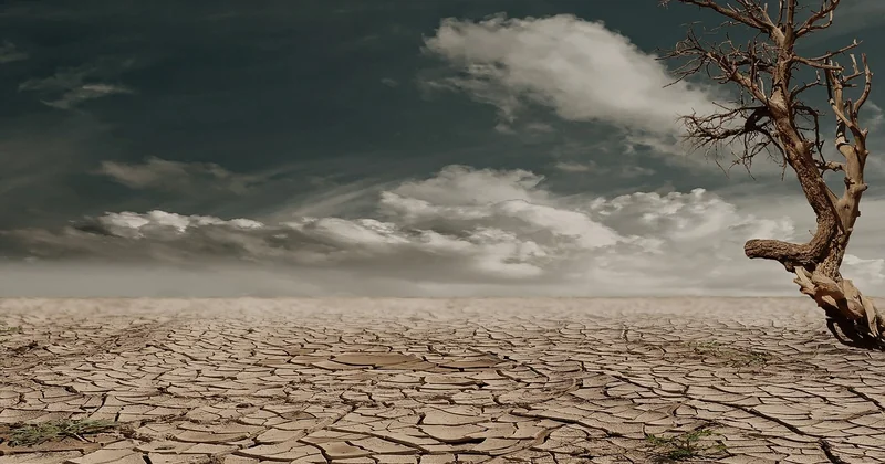 Jardin de pluie sur sol argileux : ce qui change
