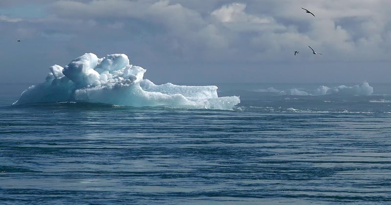 Impact changement climatique santé mentale : ce que révèlent les études